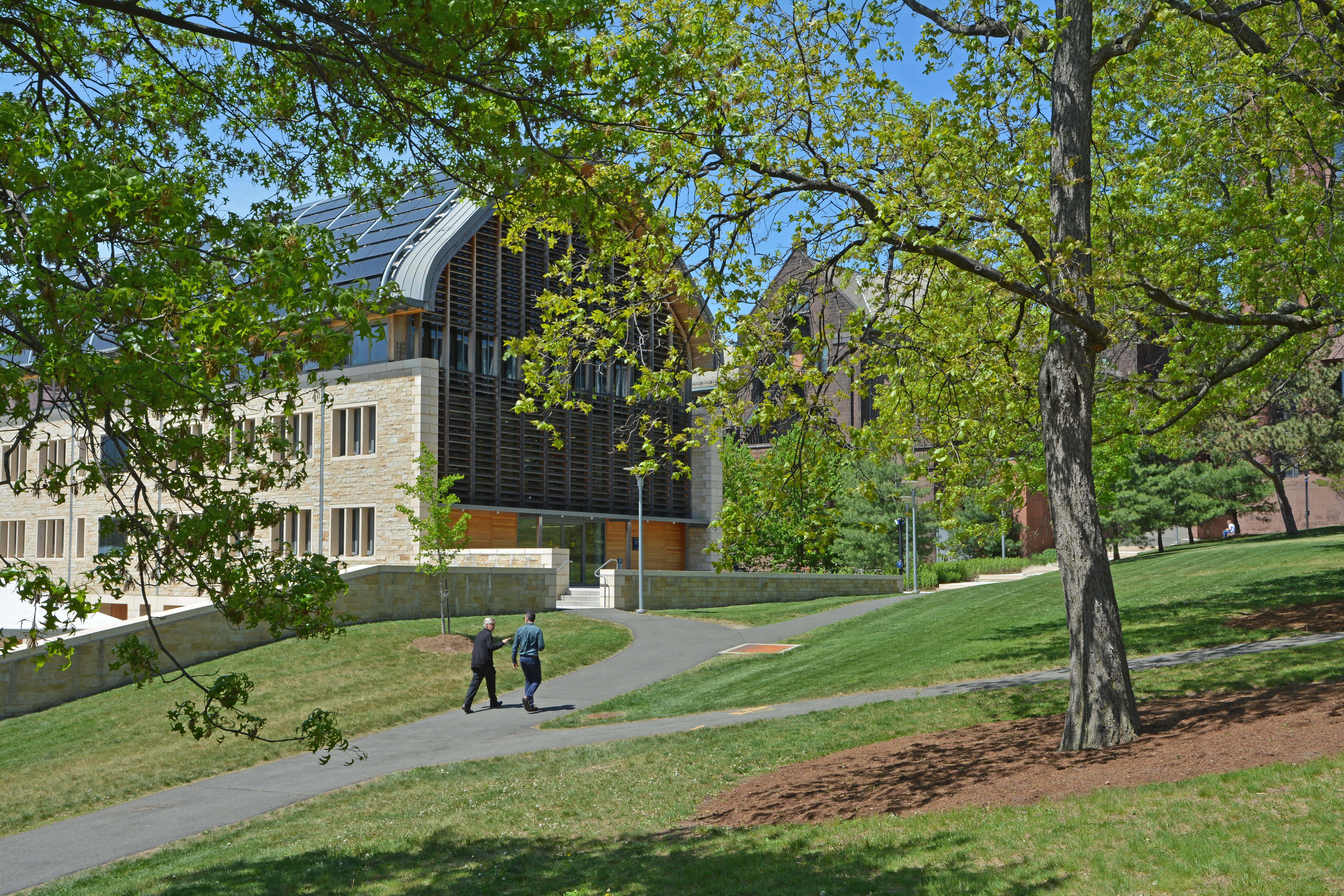 Kroon Hall Trees