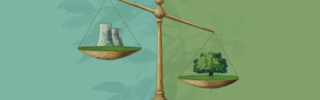 Environmental Policy