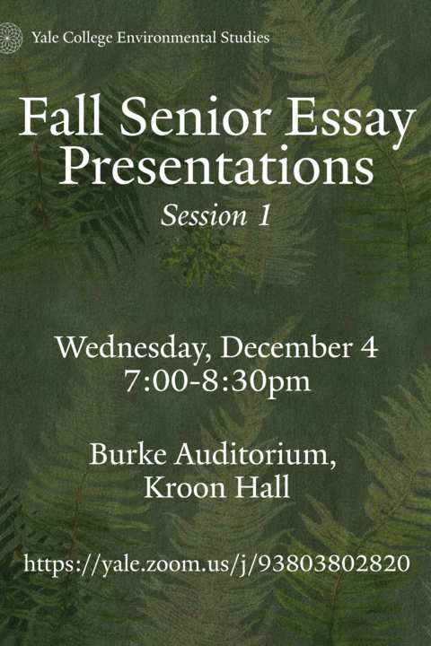 Senior Essay Presentations, Session One