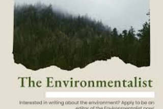 The Environmentalist Image